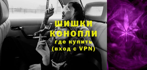 молекула духа Иннополис