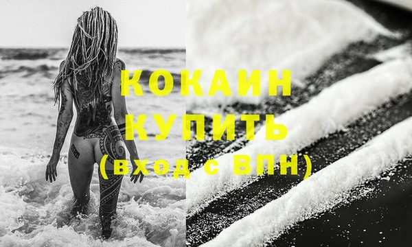 сатива Кострома