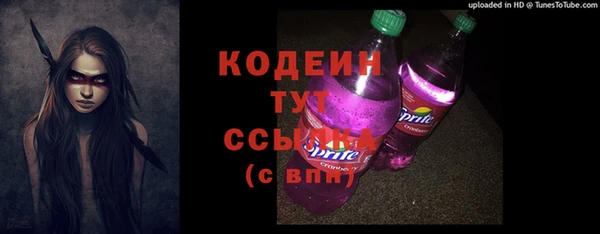 молекула духа Иннополис