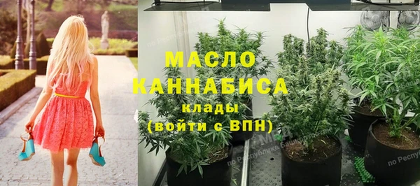 молекула духа Иннополис