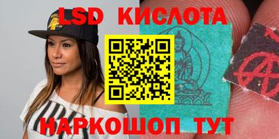 крисы Кунгур