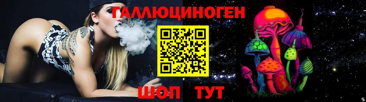Псилоцибиновые грибы Psilocybe Ивантеевка